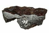 Polished Stony-Iron Mesosiderite Meteorite ( g) - Chile #242986-1